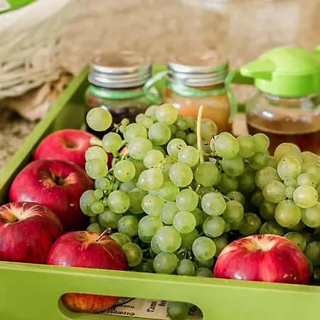 Casa Da Cevidade Casa de Campo Melgaço