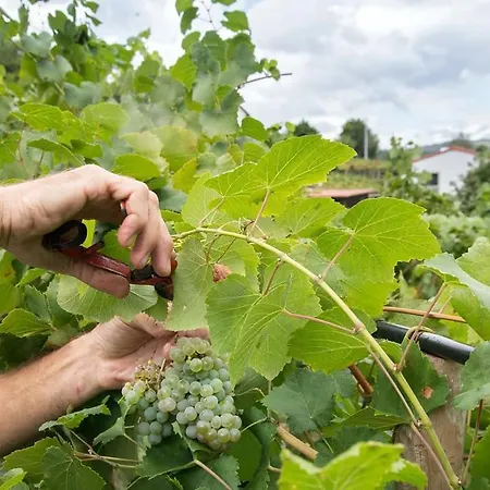 Casa Da Cevidade Melgaço