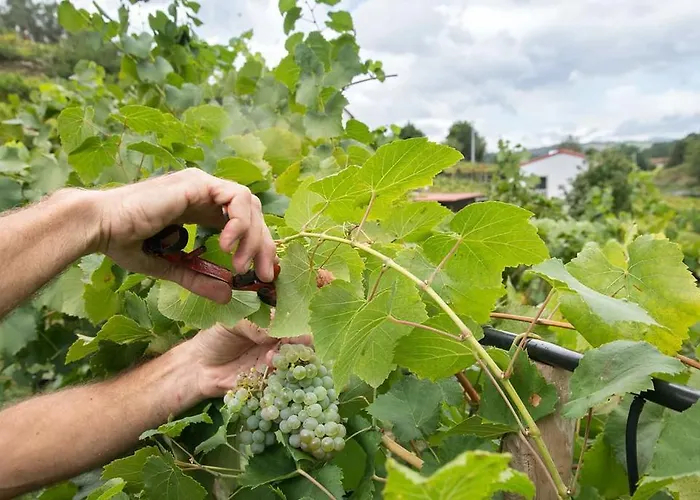 Casa Da Cevidade Melgaço